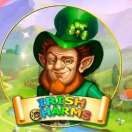 Irish Charms